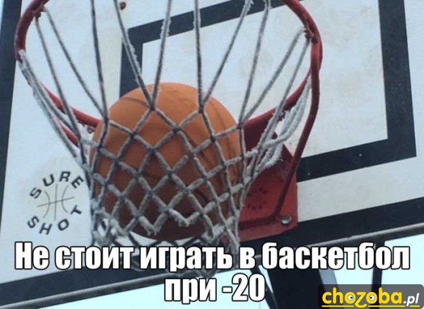 Zamarznięty kosz