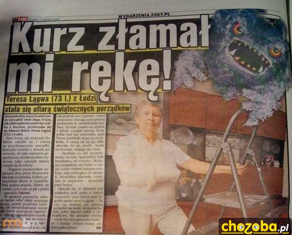 Kurz złamał mi rękę!