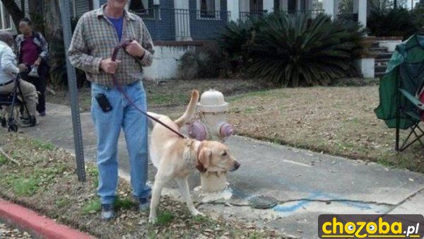 Nie ten hydrant