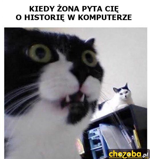 Kiedy żona pyta cię o historię w komputerze