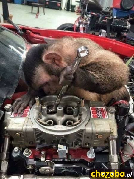 U mechanika