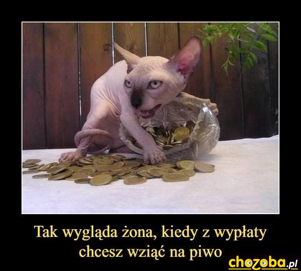 Żona z wypłatą