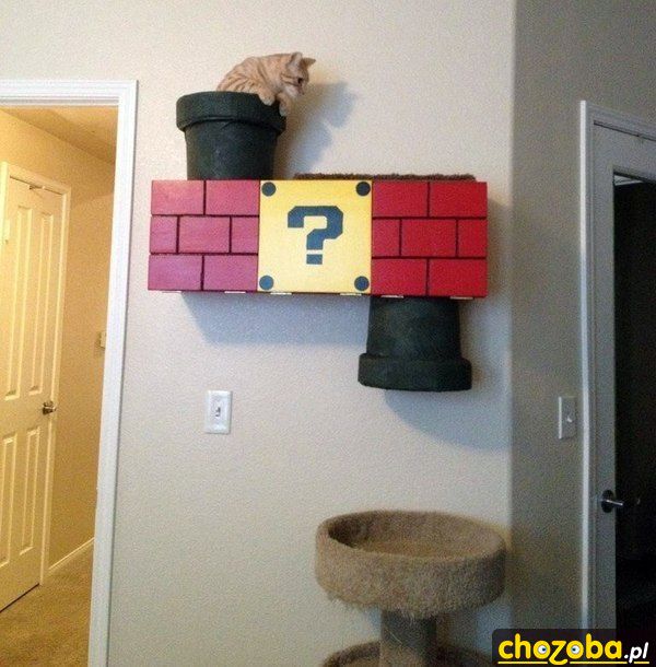 Kot Mario