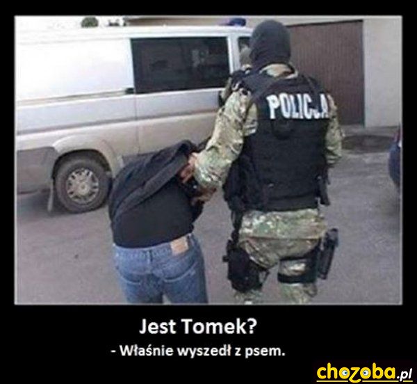 Wyszedł z psem