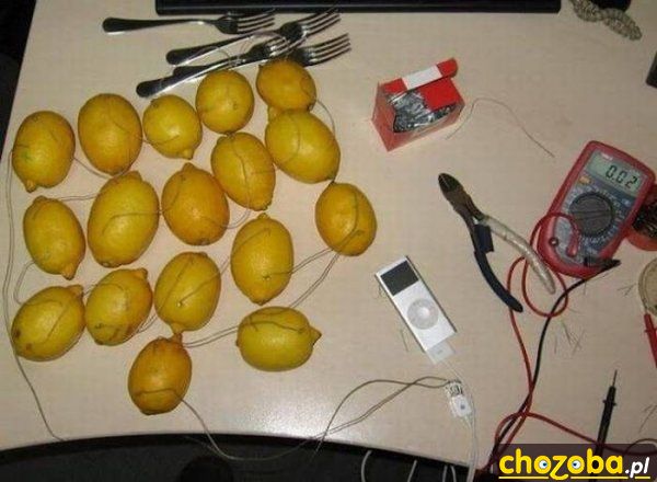 Zasilanie z cytryn