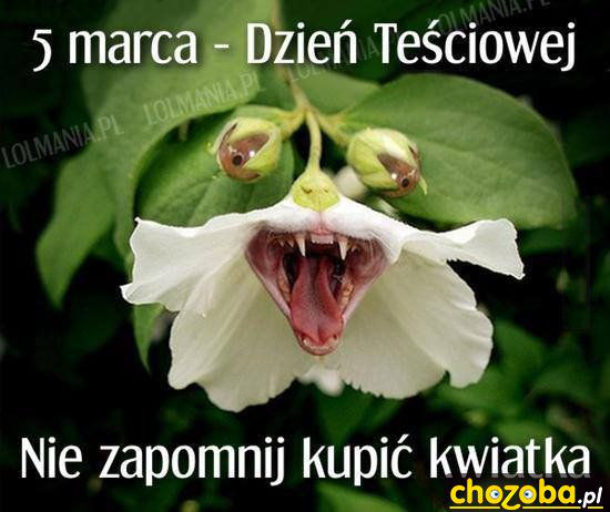 Dzień teściowej