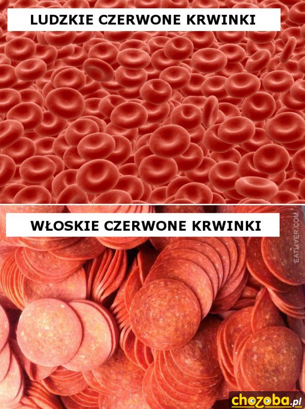 Czerwone krwinki