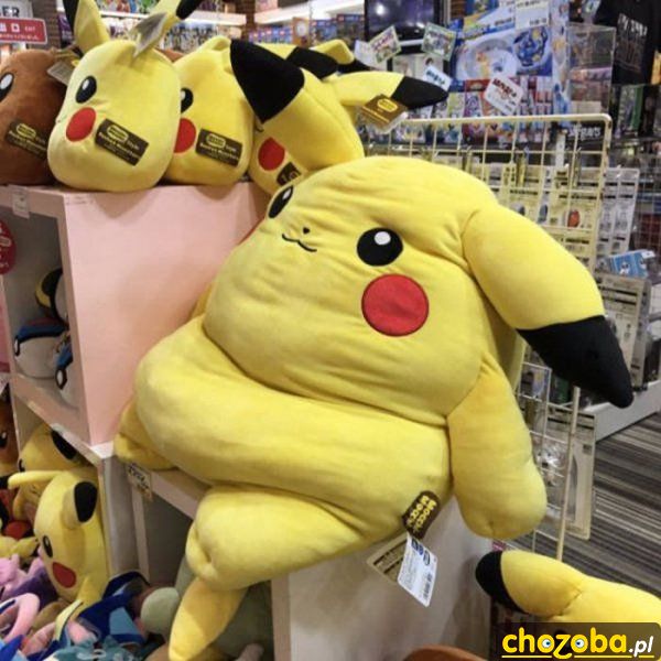 Gruby Pikachu