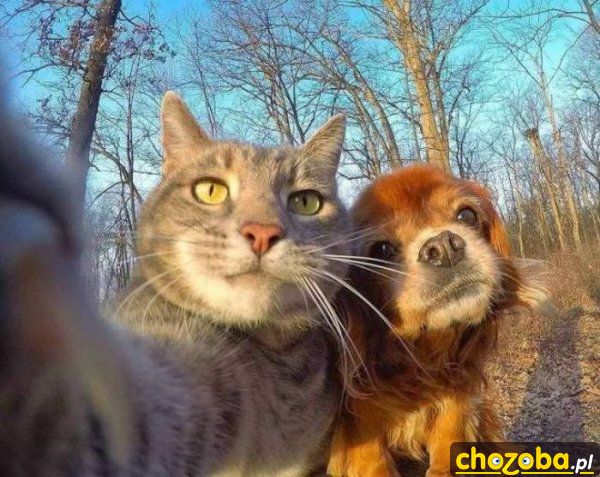 Selfie