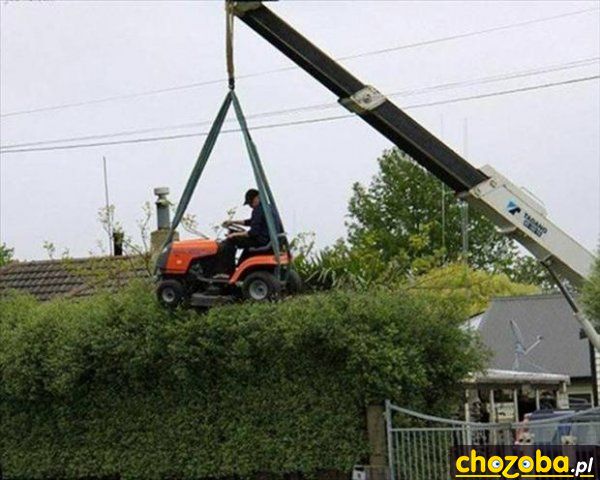 Nożyce do żywopłotu są dla cieniasów