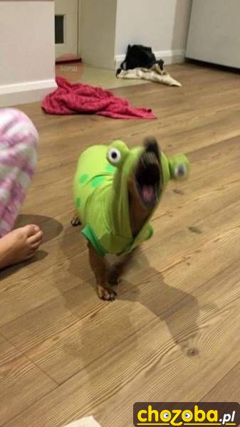 Stworek
