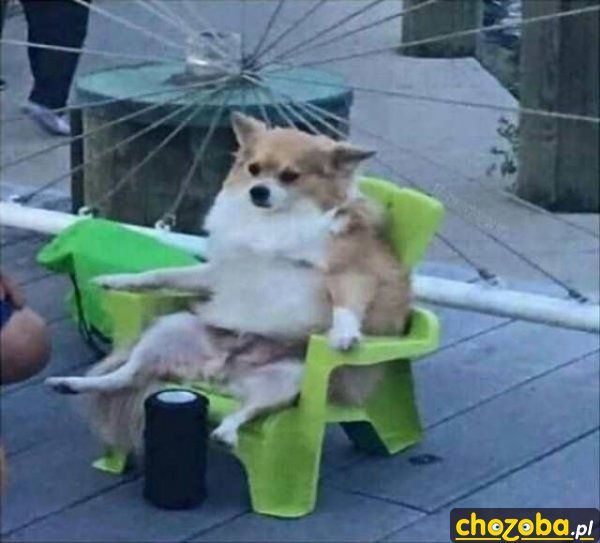 Na krzesełku
