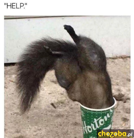 Help!