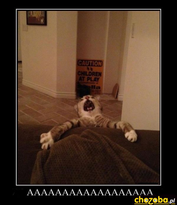 Aaaaaaaa!!!