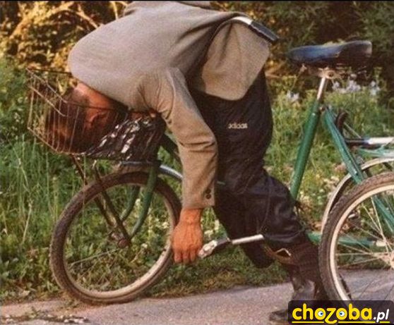 Już wiesz po co jest kosz
