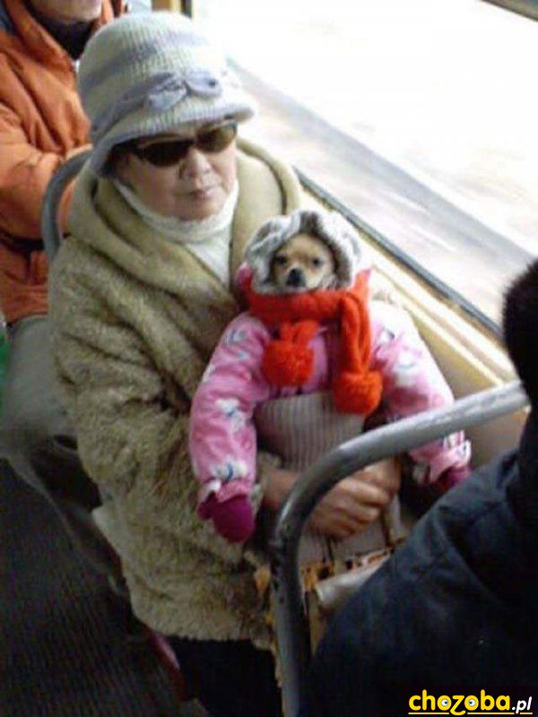 Z dzieckiem w autobusie