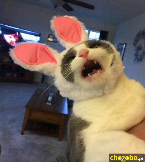 Miiiaaałłł!