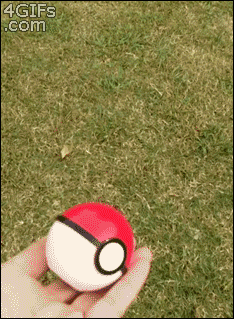 Jeż pokemon