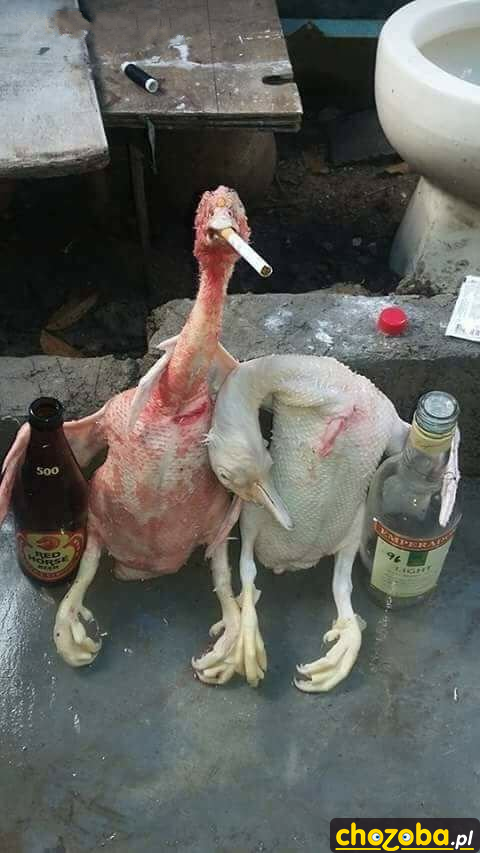 Weekend na wsi