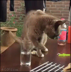 WTF...?