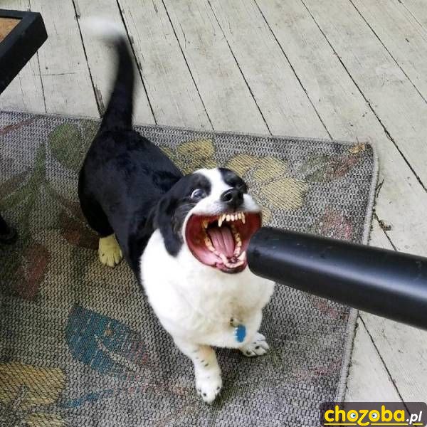 Aaaaaa!