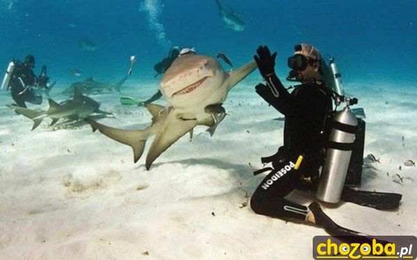 Piąteczka