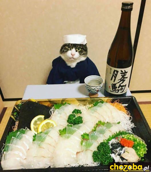 Tymczasem w Japonii