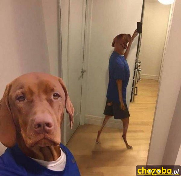 Selfie