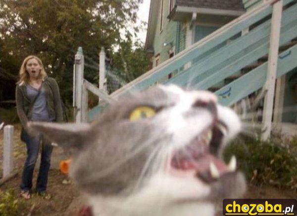 Miaaaaał!