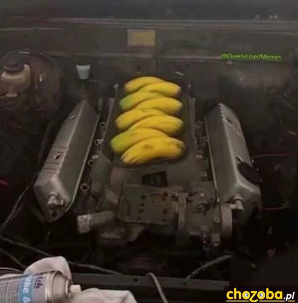 Bananowy silnik