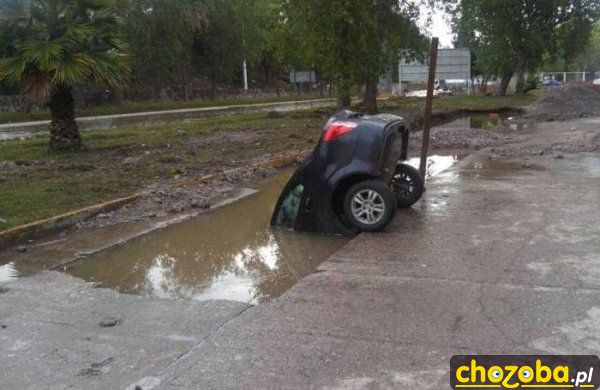 Spragniony samochód przy wodopoju