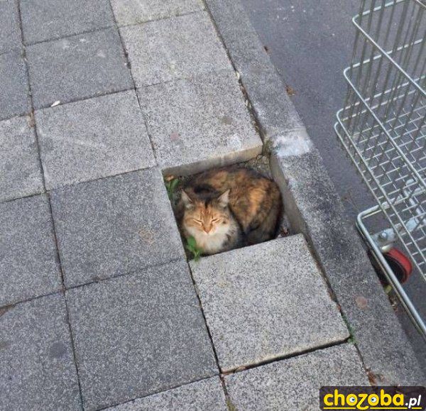 Jestem chodnikiem