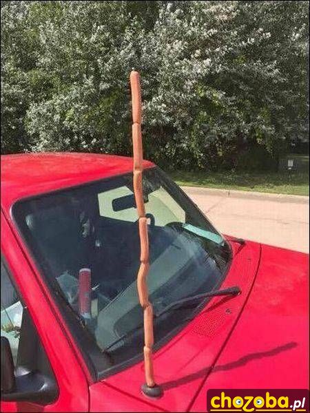 Parówkowa antena