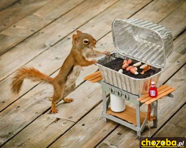 Mini grill