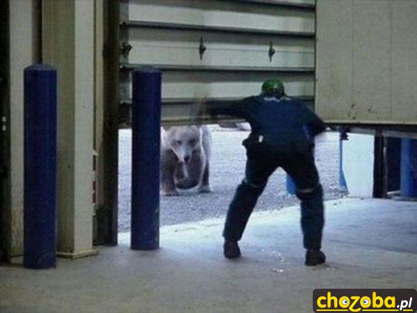 Ups