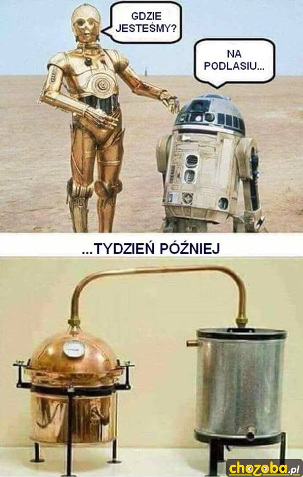 Na Podlasiu