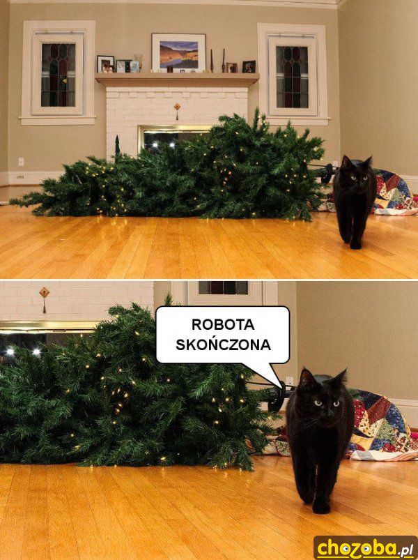 Robota skończona