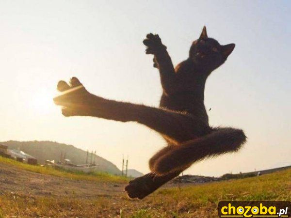 Karate kot