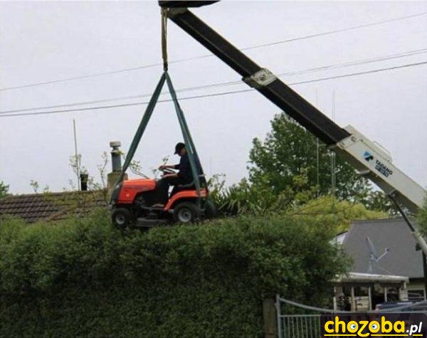 Strzyżenie żywopłotu