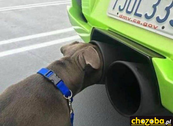 Om nom nom