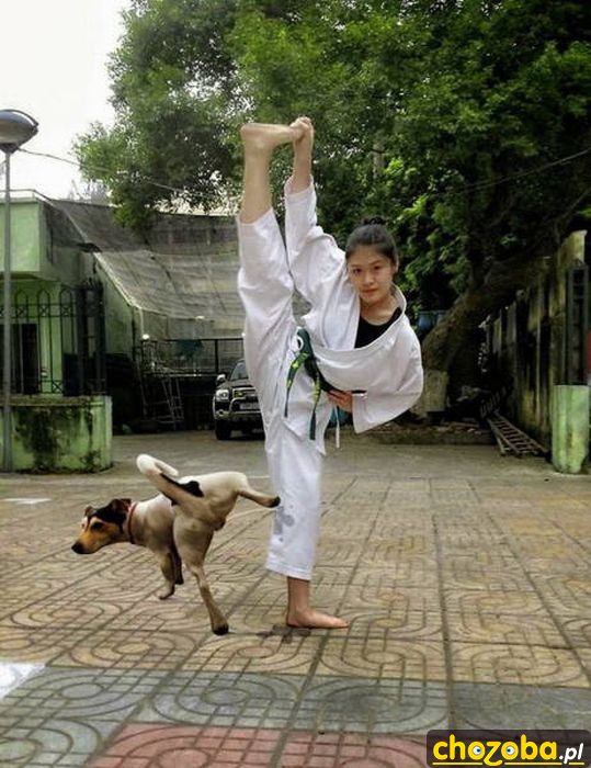Olać karate