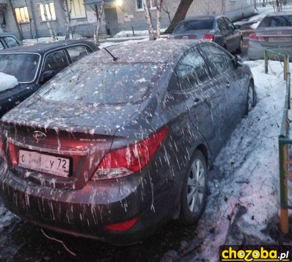 Obsraniec