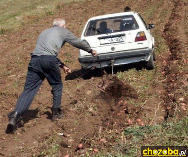Golf lepszy od ciągnika