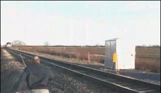 O włos