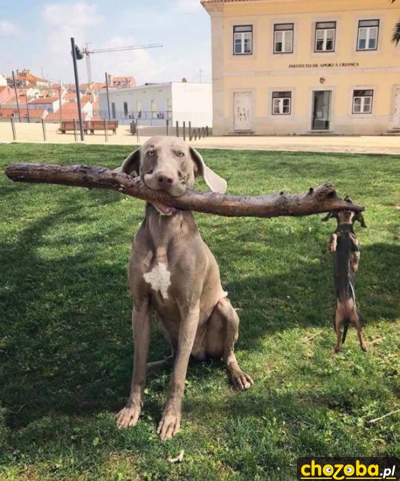 Duży i mały