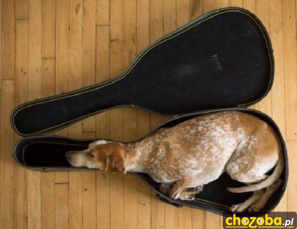 Śpiąca gitara