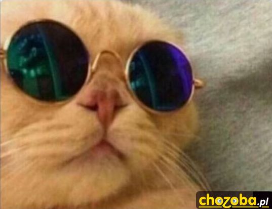 Morpheus
