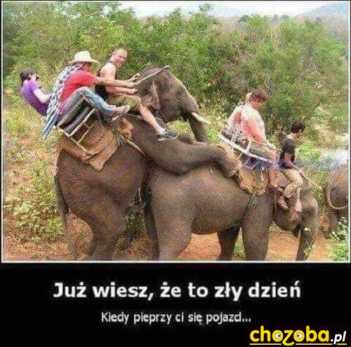 Zły dzień