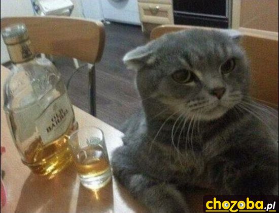 Przy drinku