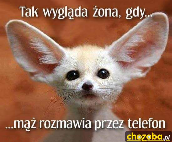 Żona